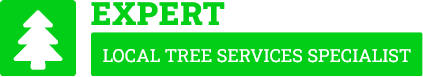 Inner West Tree Cutting - Tree Removal Sydney